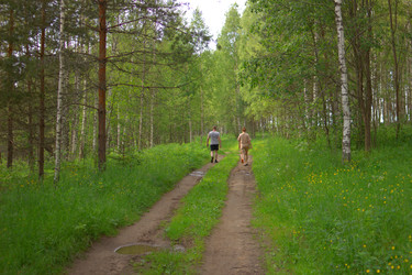 Similar image 22279670