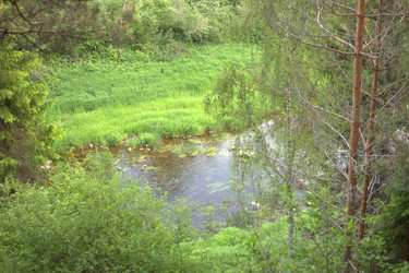 Similar image 22248730