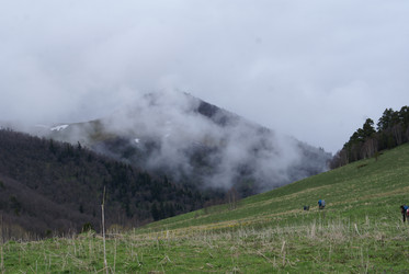 Similar image 22274985