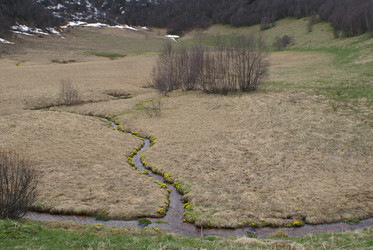 Similar image 22274986