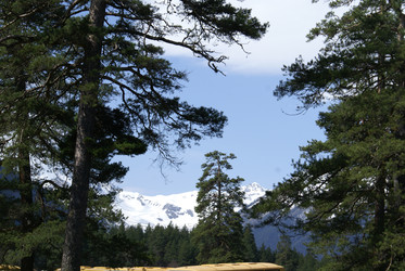 Similar image 22274988