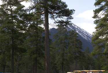 Similar image 22274989