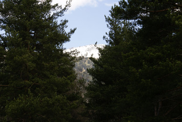 Similar image 22274990