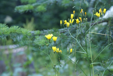 Similar image 22274991