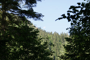 Similar image 22274995