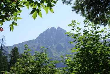 Similar image 22274999