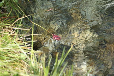 Similar image 22275000