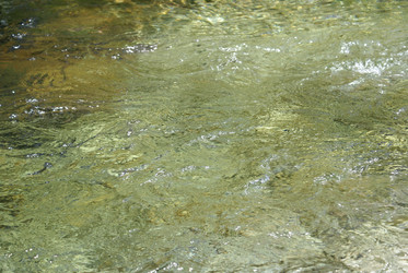 Similar image 22275001