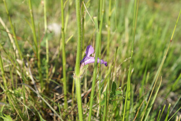 Similar image 22275002