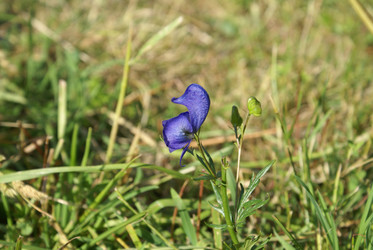 Similar image 22275003