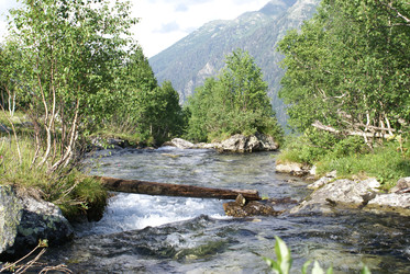 Similar image 22275004