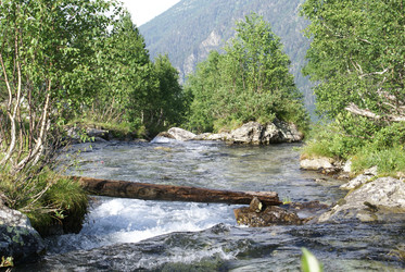 Similar image 22275005