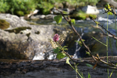 Similar image 22275006