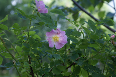 Similar image 22275008