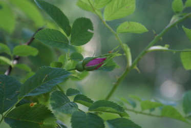 Similar image 22275009