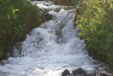 Similar image 22275012