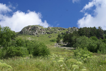 Similar image 22275015