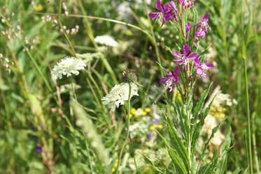 Similar image 22275016