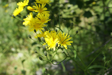 Similar image 22275020