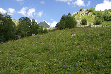 Similar image 22275022