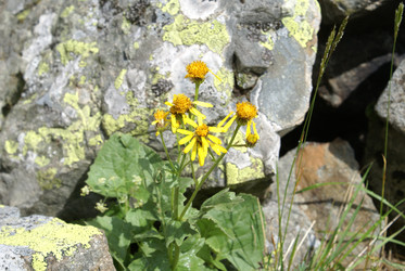 Similar image 22275026