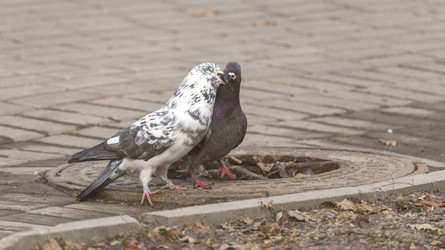 Similar image 22274490