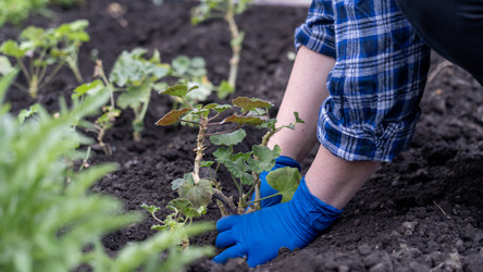 Similar image 22274493