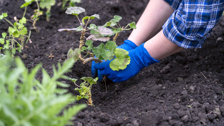 Similar image 22274498