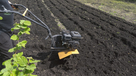 Similar image 22274499