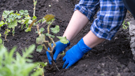 Similar image 22274500