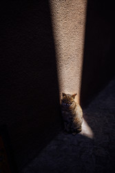 Similar image 22289900