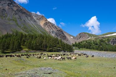 Similar image 22253621