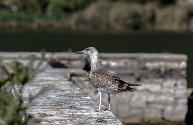 Similar image 22259795