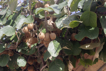 Similar image 22279676