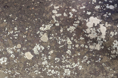 Similar image 22259800