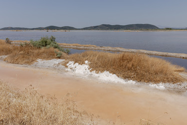 Similar image 22248731