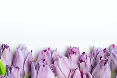 Similar image 22260347