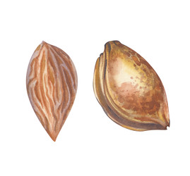 Similar image 22248763