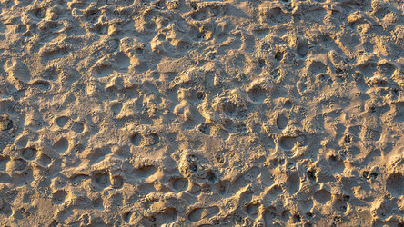 Similar image 22251660