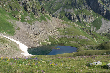 Similar image 22275033