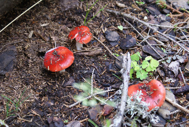 Similar image 22275039