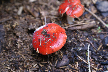 Similar image 22275040