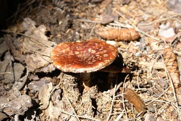 Similar image 22275044