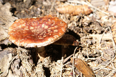 Similar image 22275045