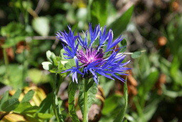 Similar image 22275046