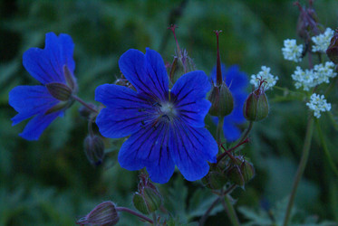 Similar image 22275050