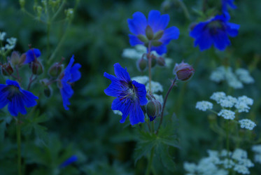 Similar image 22275051