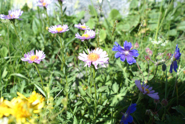 Similar image 22275052