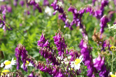 Similar image 22275053