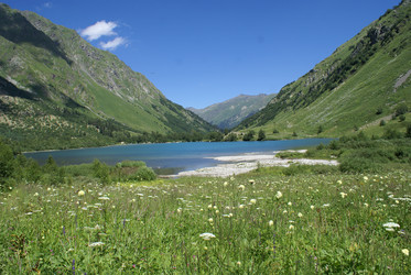 Similar image 22275057